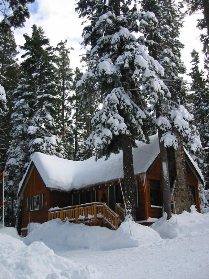 Tahoma Meadows - Sugar Pine Cabin Exterior photo